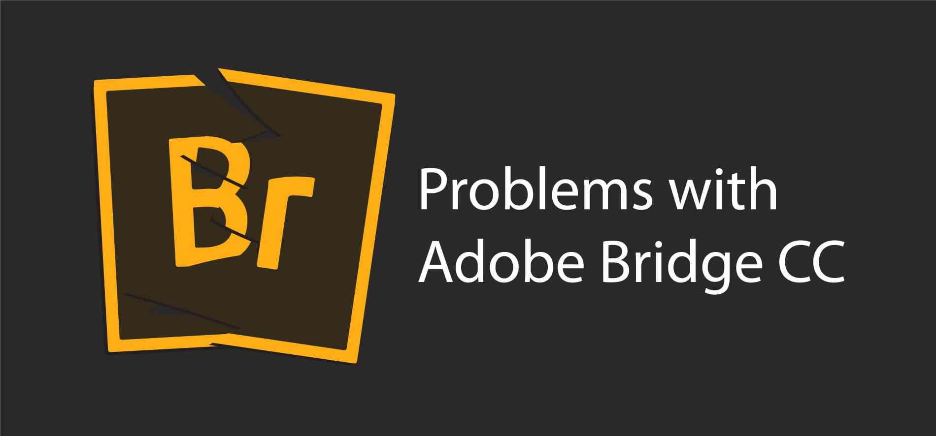 破解版Adobe Bridge 2020 Mac+Windows 多国语言