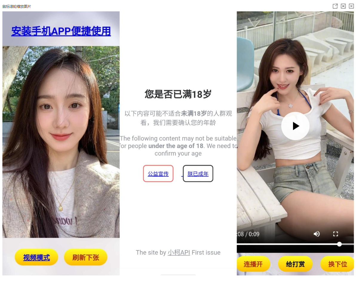 小柯悦看html源码